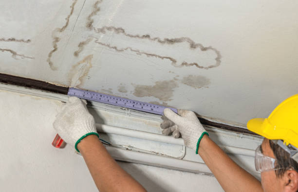 Reliable Water Damage contractor in Jamestown, CO by Water Damage Irwin